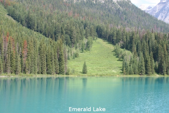 2128_emerald_lake.jpg