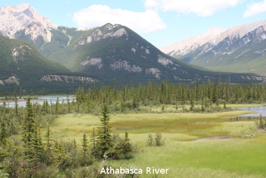 2479_athabasca_river.jpg