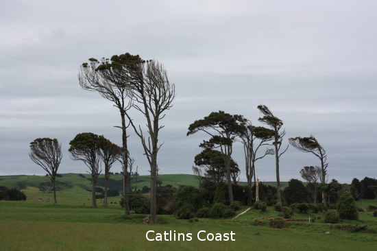 0977 catlins coast