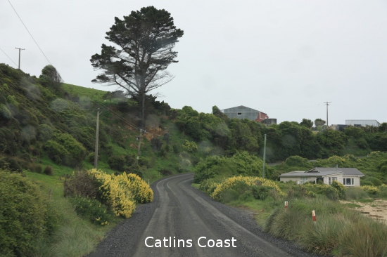 1080 catlins coast