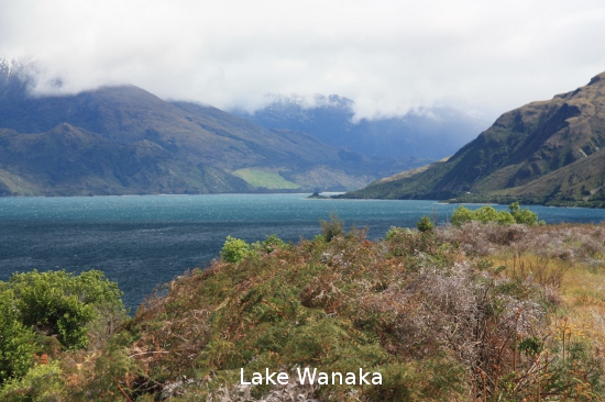 1186 lake wanaka