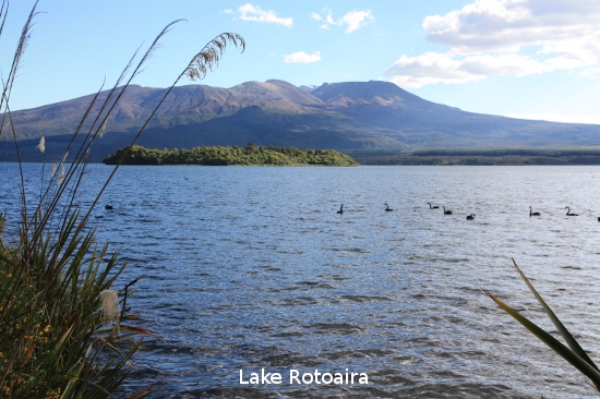 2167 lake rotoaira