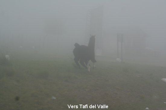 1690_vers_tafi_del_valle.jpg