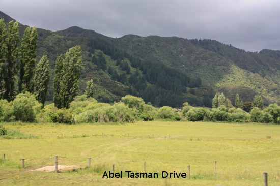 1680 abel tasman drive
