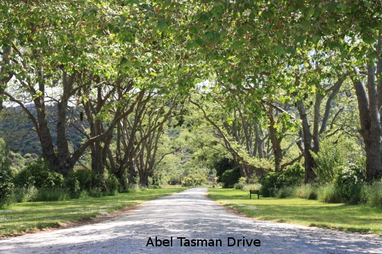 1693 abel tasman drive